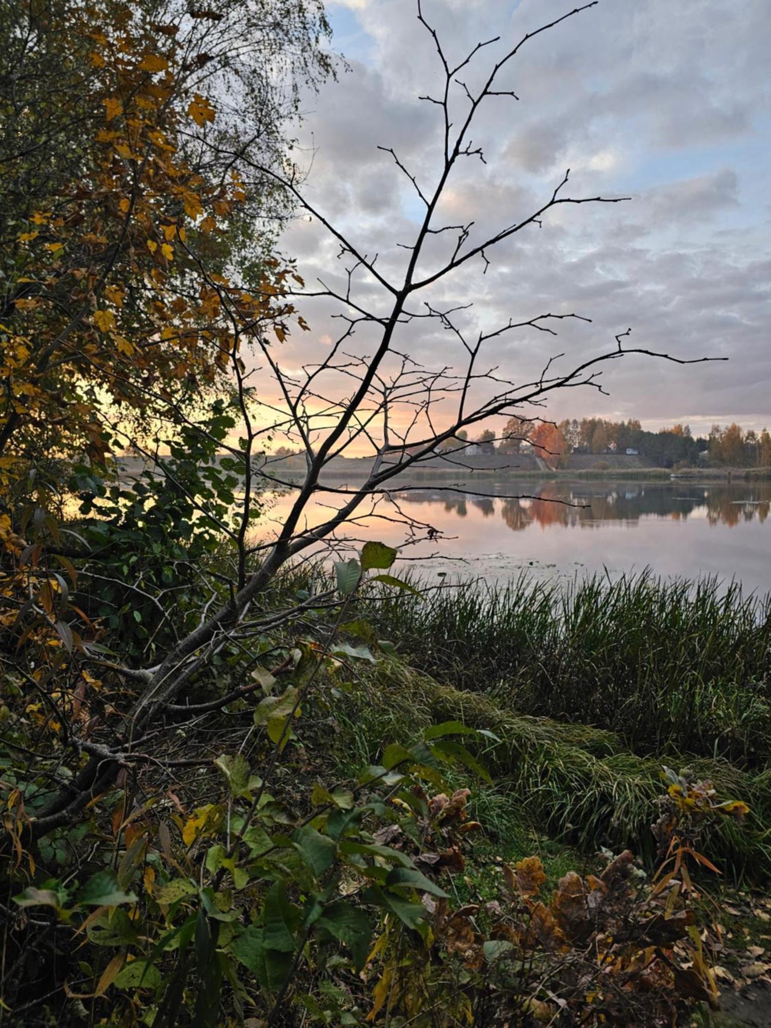 Hytte Na Wyspie -,,Roztoczanskie Morze" Kulikow Экстерьер фото